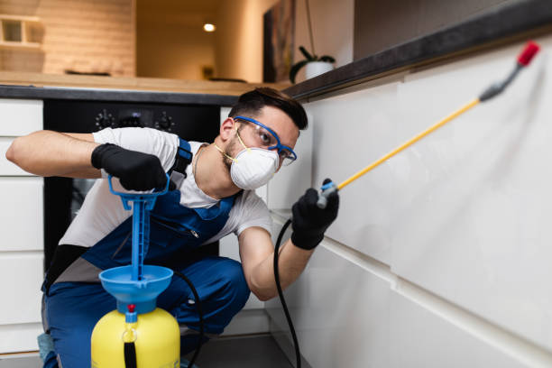 Flea Control Services in Stonewall, MS